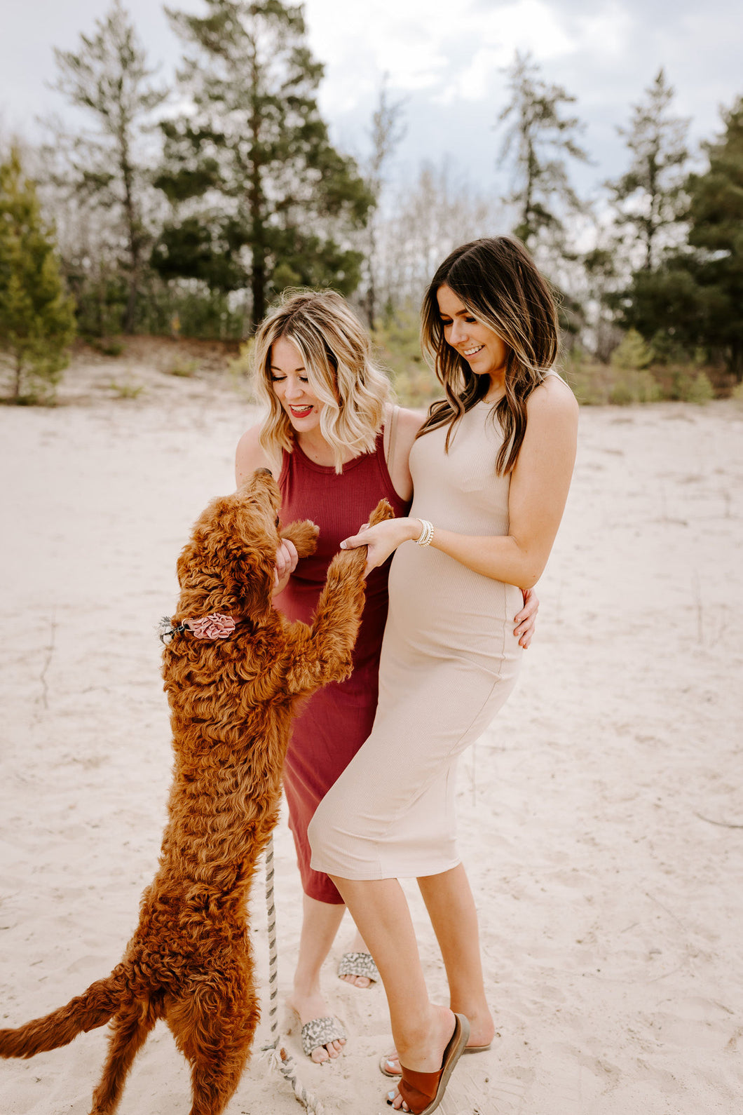 NOVA RIBBED MIDI DRESS (4 COLOURS) - FINAL SALE